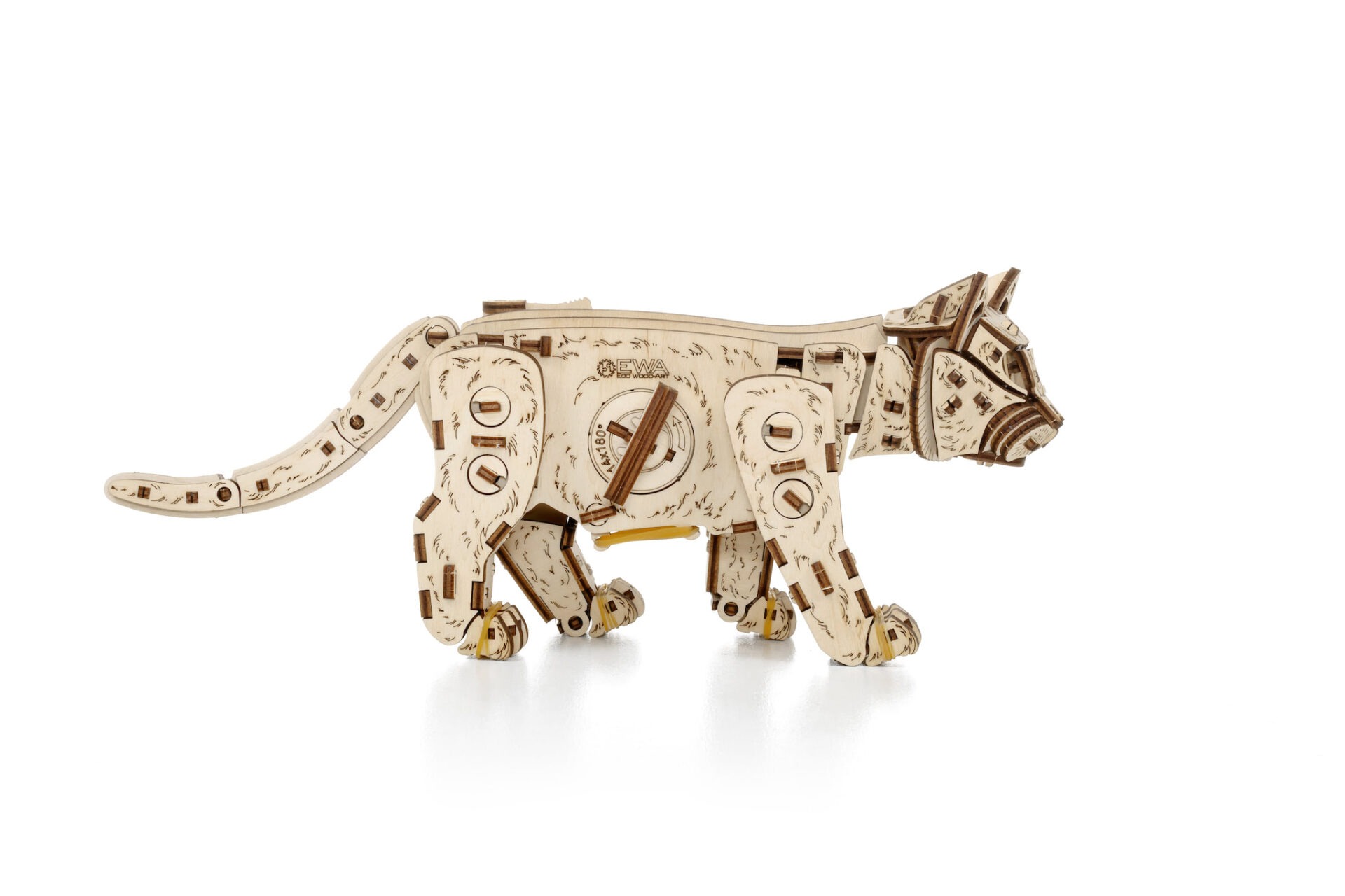 Kitten - Image 7