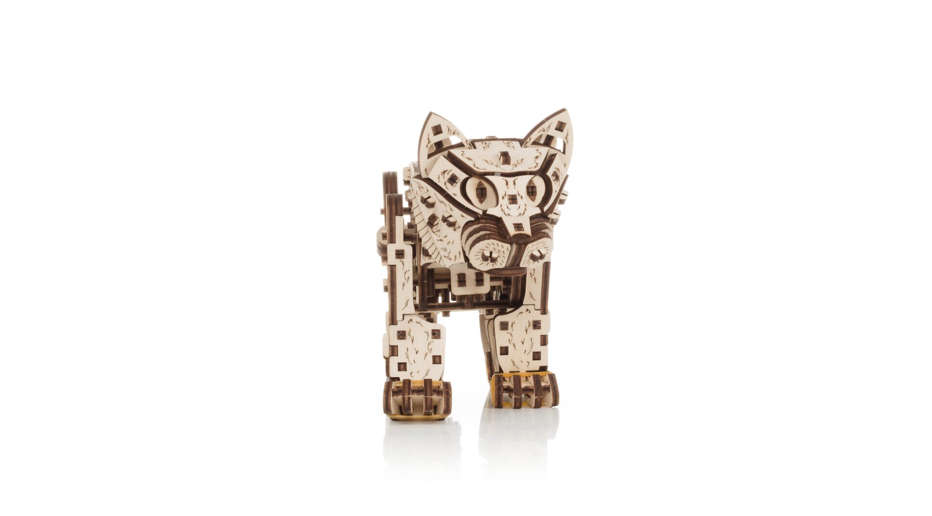 Kitten - Image 6