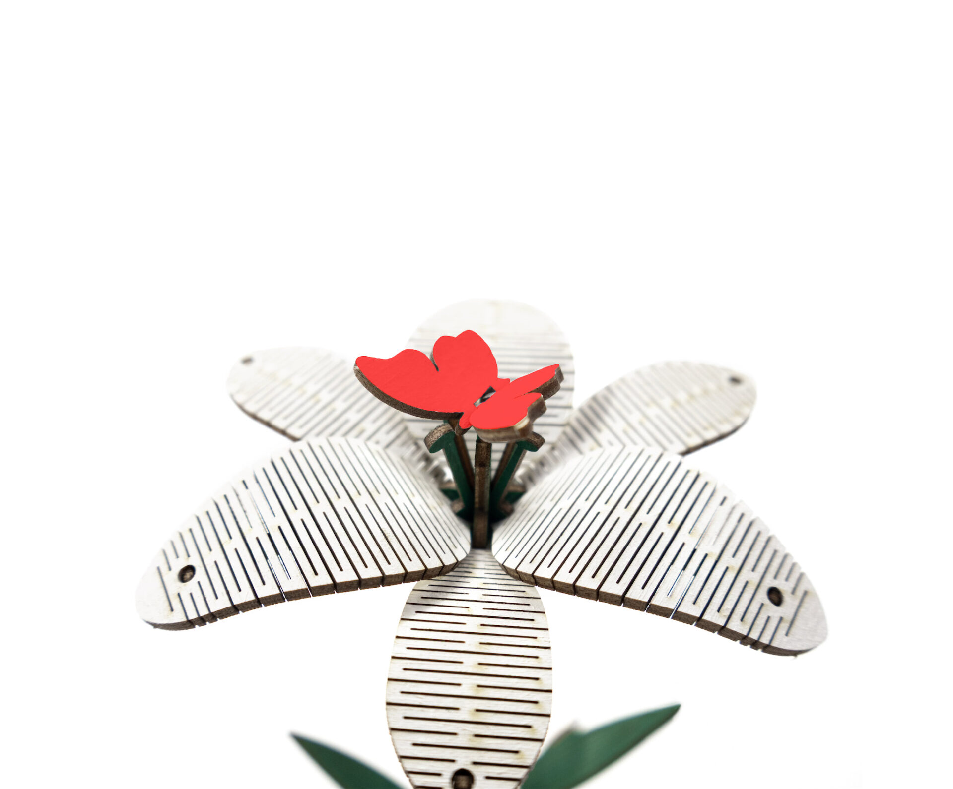 Flower Lily - Image 9