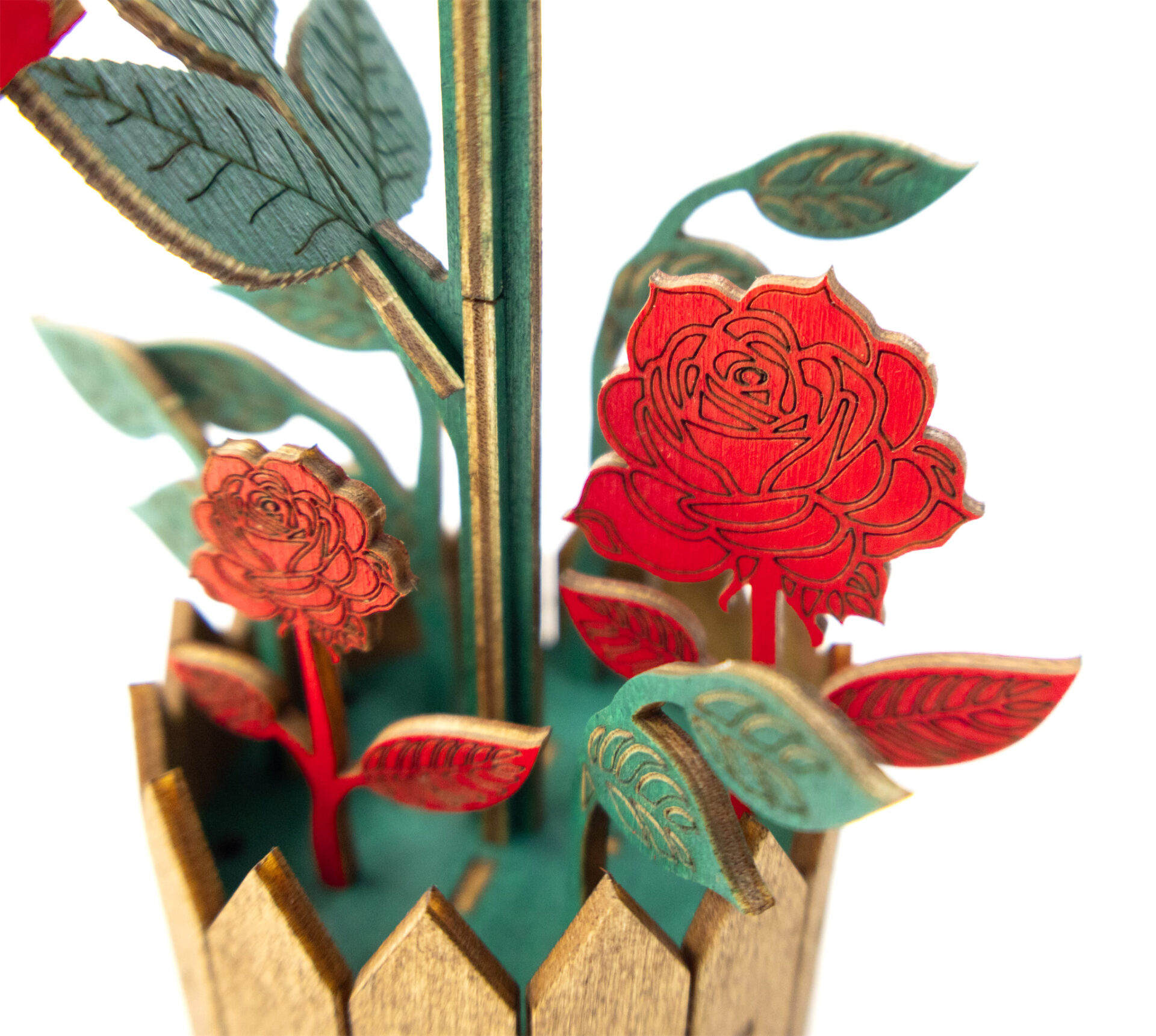 Flower Rose - Image 10