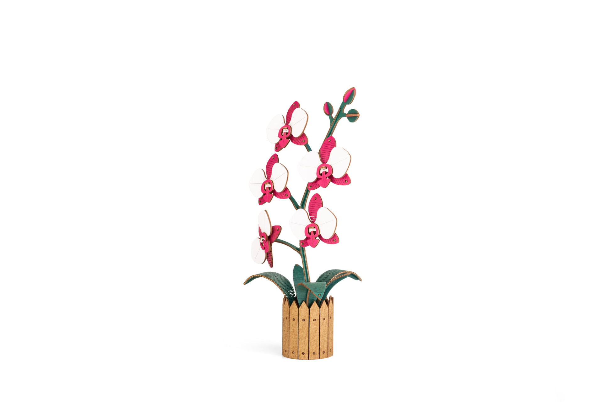 Flower Orchid Pink - Image 2