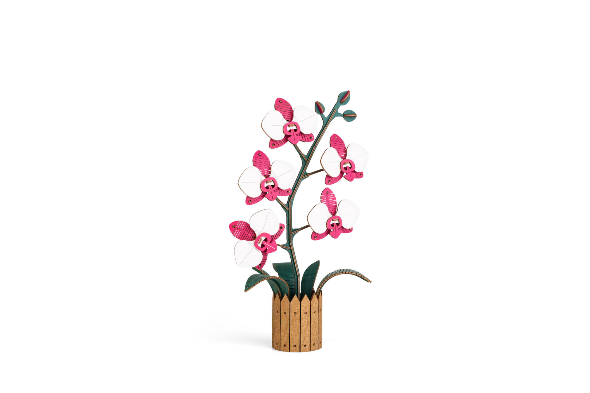 Flower Orchid Pink - Image 3