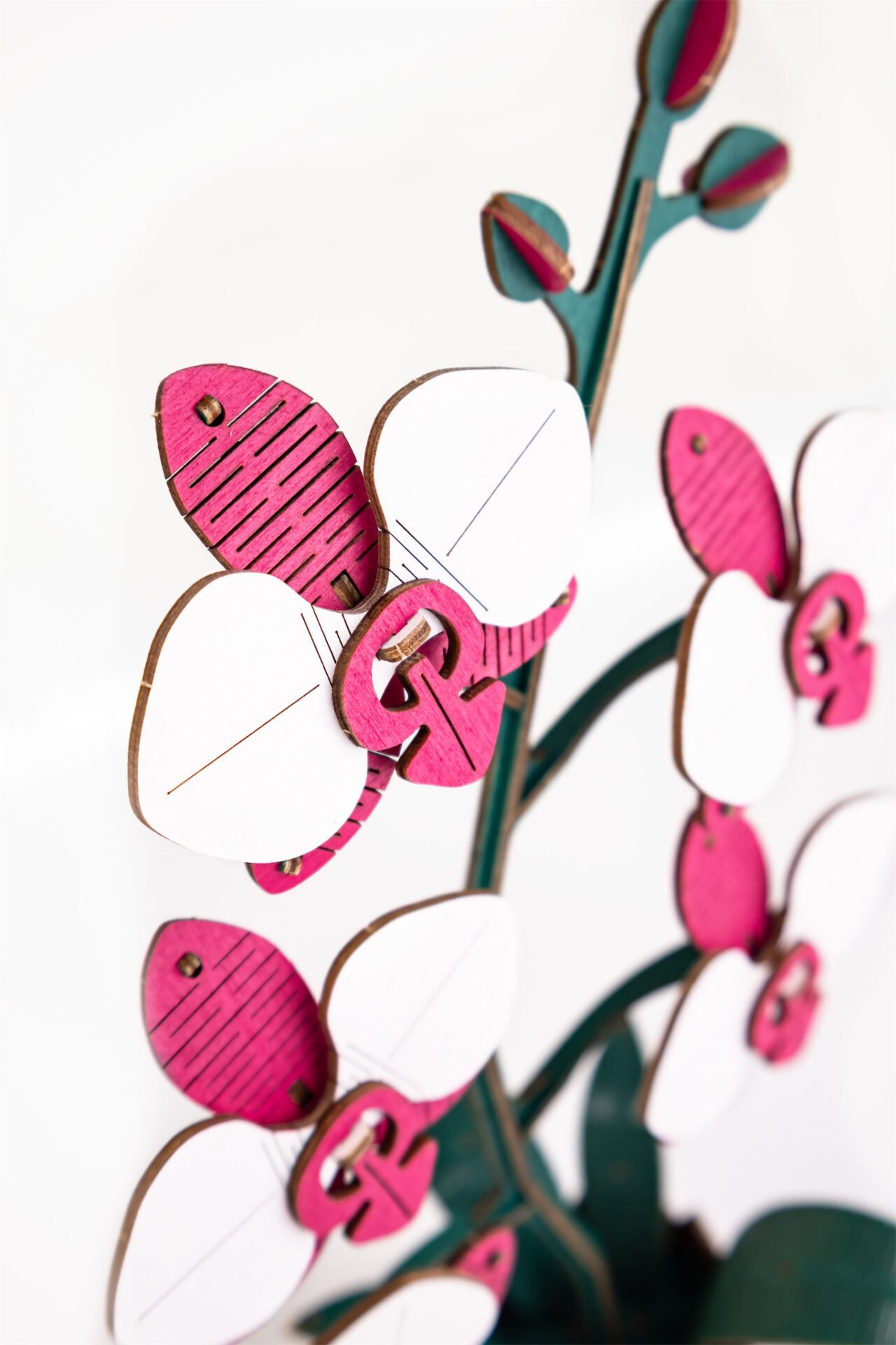Flower Orchid Pink - Image 4