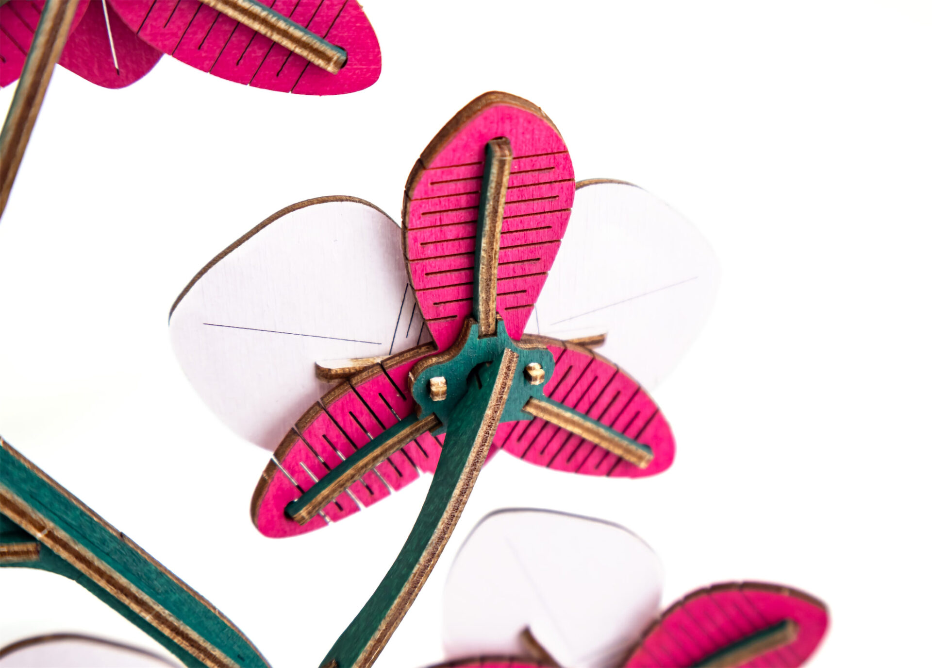 Flower Orchid Pink - Image 5