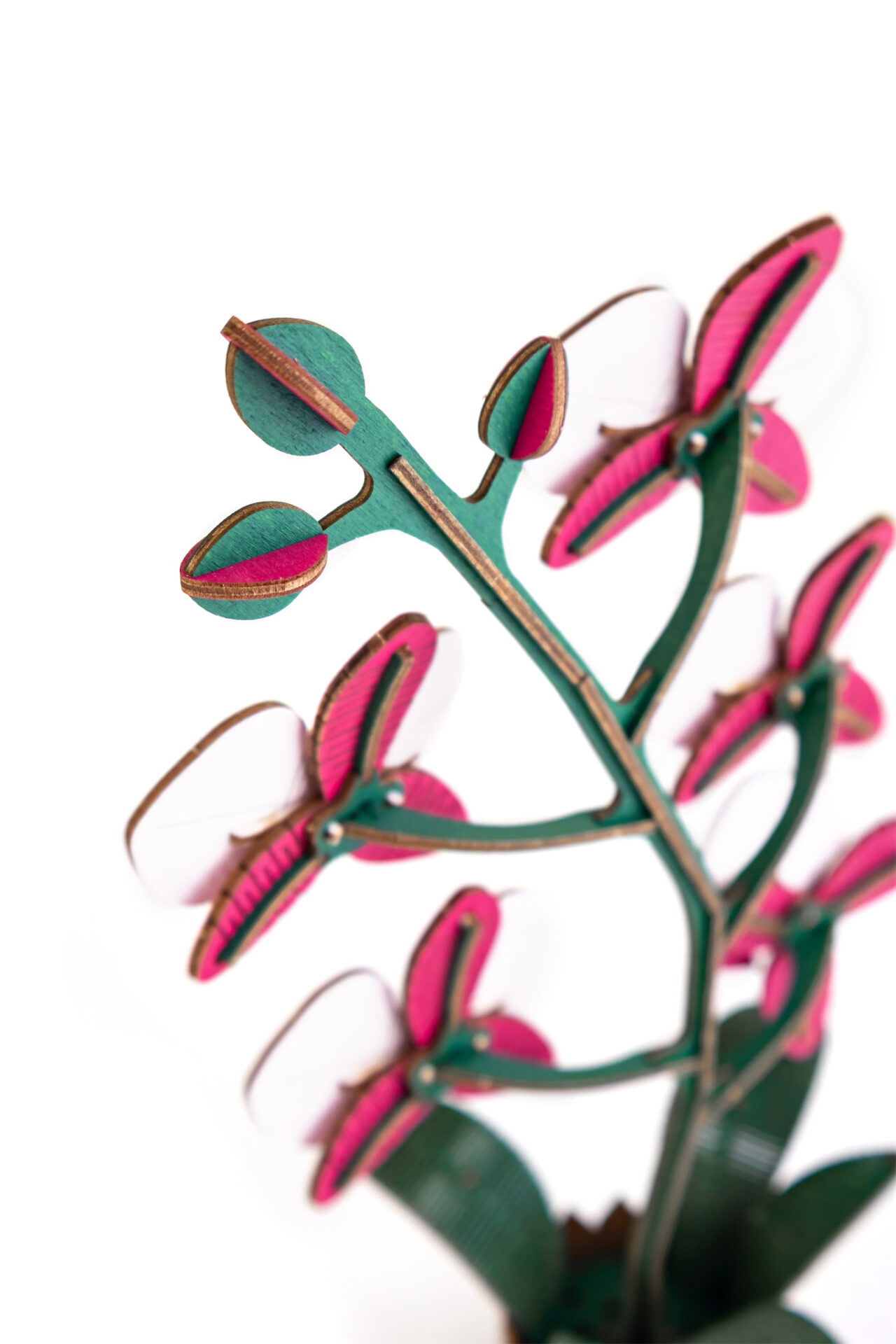 Flower Orchid Pink - Image 6