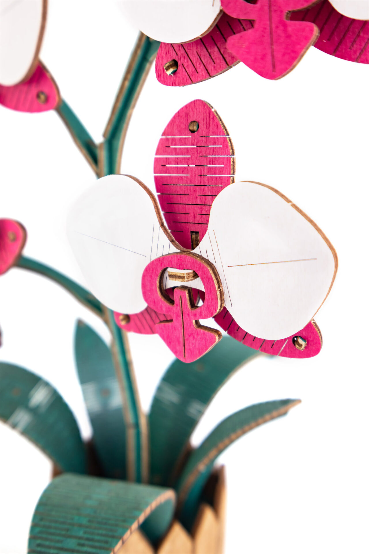 Flower Orchid Pink - Image 8