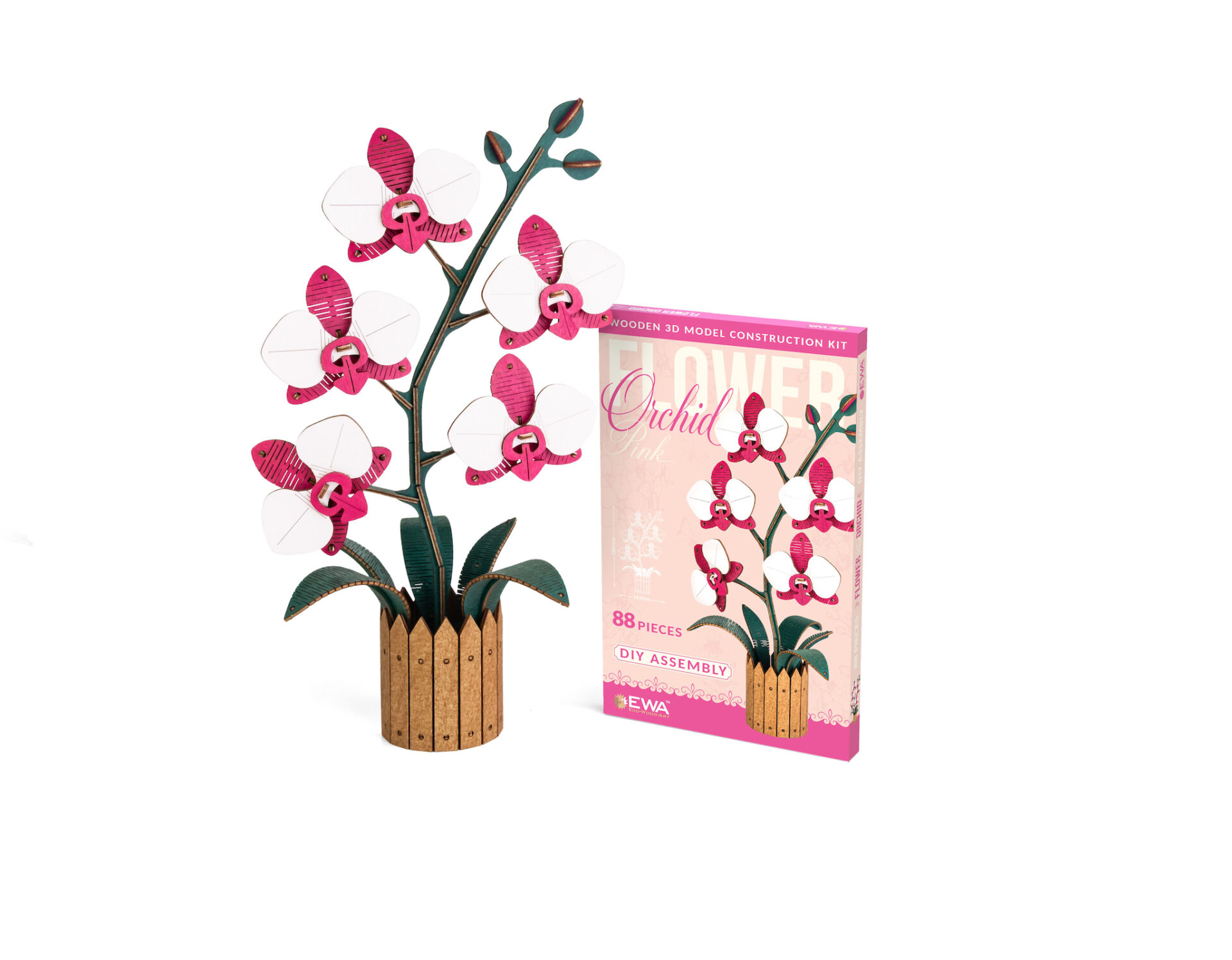 Flower Orchid Pink - Image 10
