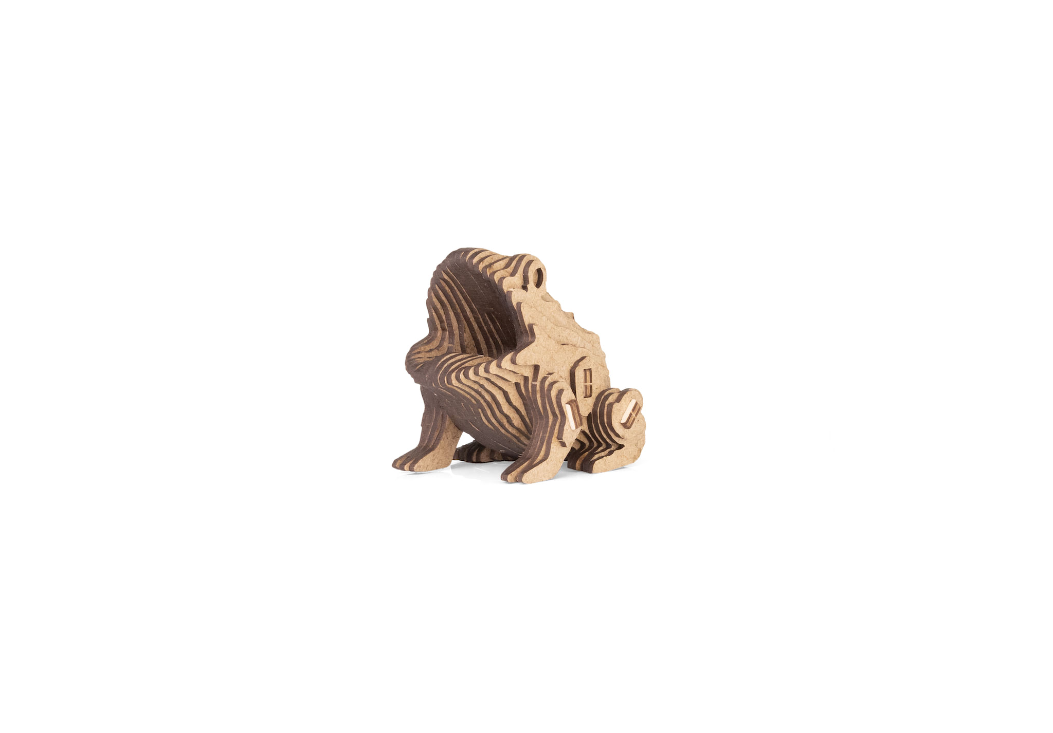 Frog - Image 2