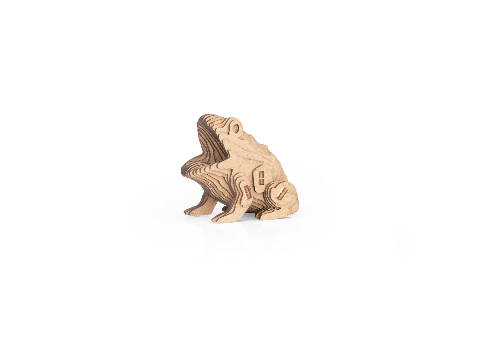 Frog - Image 3