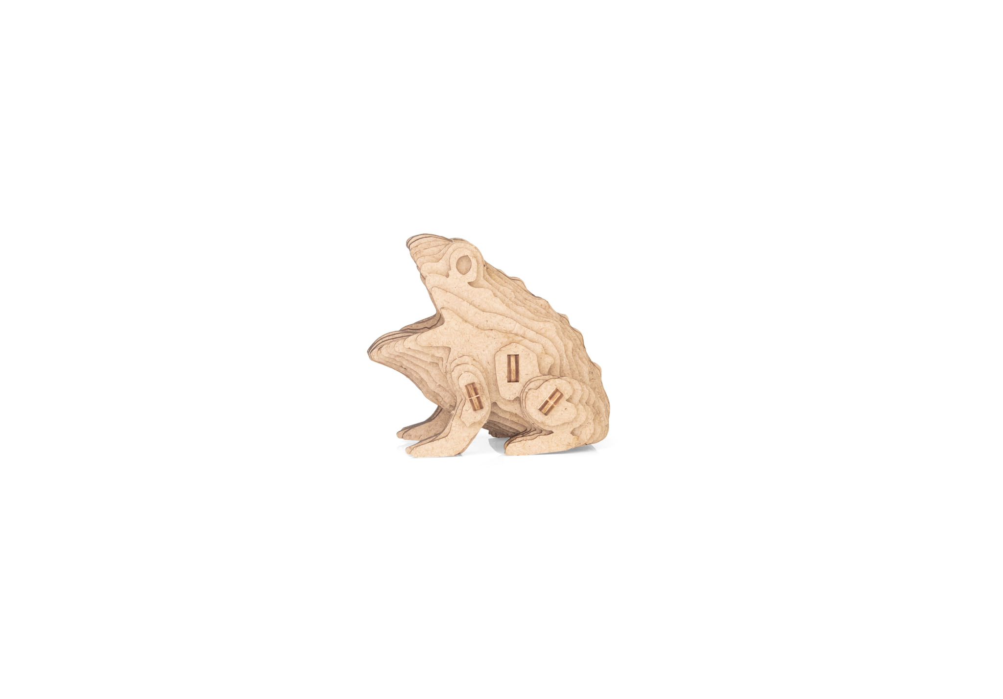 Frog - Image 4