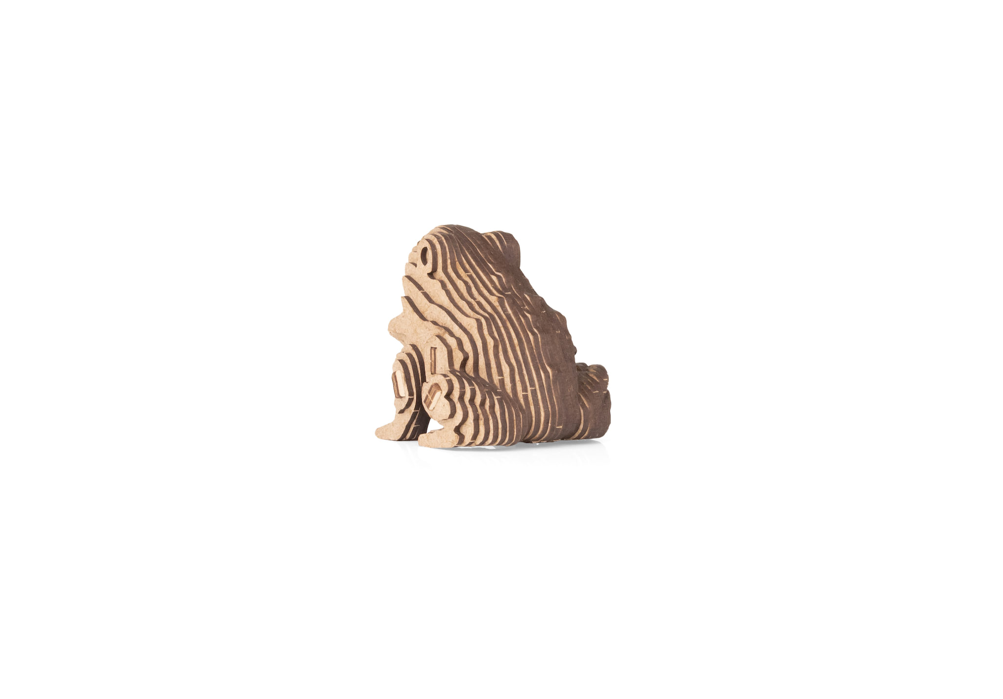 Frog - Image 5