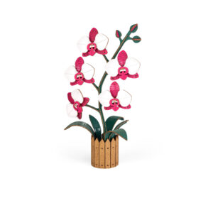 Flower Orchid Pink