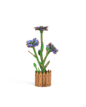 Flower Cornflower